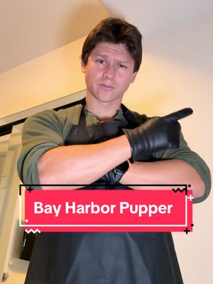 The Bay Harbor Pupper has been brought to justice🫡🐶 #dexter #dextermorgan #dog #dogowner #funny