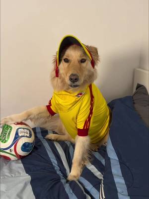VAMOS COLOMBIA🫡⚽️🇨🇴 fun fact i got Simba when i was living in Colombia and brought him to North America! #vamoscolombia #dog #colombia #fifaWorldcup #football