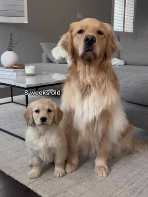 Little sister is 4 months old today! 🥹