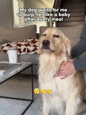 Why fart and waste it when you can burp and taste it 😮💨 — Maple, probably