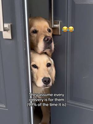 They’re not wrong 😂