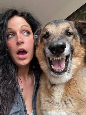 Eager Beaver over here! #fyp #foryou #smile #cheese #photography #selfie #dogsoftiktok #djangosmiles