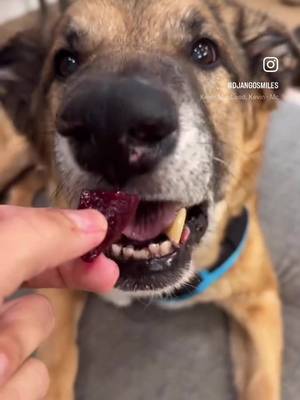 I was expecting a lower rating! #beet #smile #dog #fyp #funny