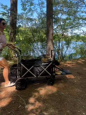 Watch out someone got new wheels today! #snaglepaw #dog #fyp #wagon #Summer