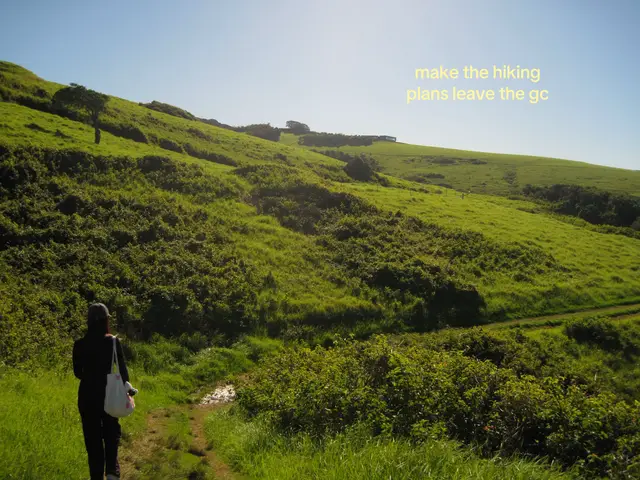 we deadass made these plans the day after being hungover LIVE LIFE FULLY #fyp #hike