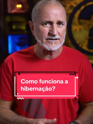 Como funciona a hibernação? #curiosidades #fatosdesconhecidos #hibernação #inverno
