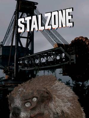 вы не поверите, но если ввести буквы в игре "FROGFEED26", то произойдёт... абоба #stalzone #Twitch #stalcraftx #Сталкрафт #Stalcraft