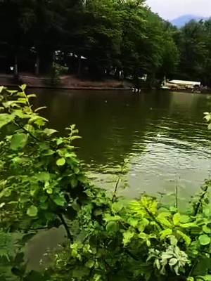 @gribanovaolga_ TikTok video cover