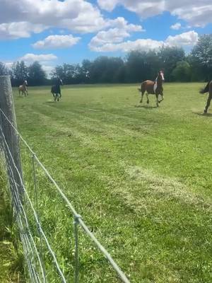 My boy is so happy! ❤️🐴❤️
