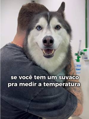 nau moça, aí nau é o suvaco