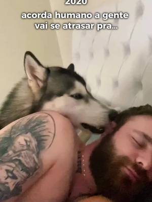CONSEGUIMOS