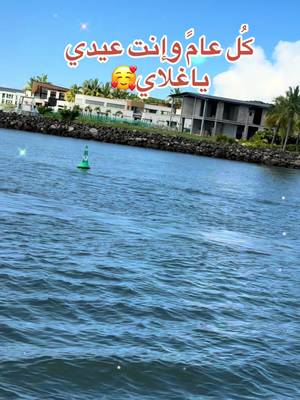 #creatorsearchinsights #كل عام وانتم عيديياغلاي#explore #اكسبلور #سوريا_تركيا_العراق_السعودية_الكويت