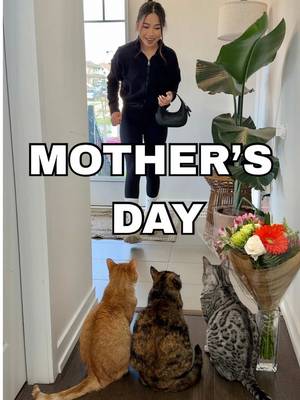 My cats surprised me for Mother’s Day! 😂