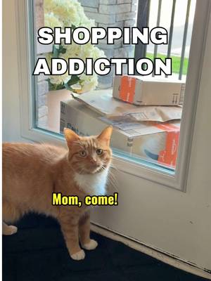 My cats didn’t think I loved them that much until they saw the mountain of @Amazon packages I ordered for them! 🤣📦 Treat your own furry friends during Amazon Pet Days from 5/11 - 5/15. A great time to stock up on pet essentials like food, treats, toys, grooming, litter, and more. Prime members can shop exclusive deals and get fast, free delivery. #AmazonPartner #AmazonPetDay #AmazonFinds #PetFavorites