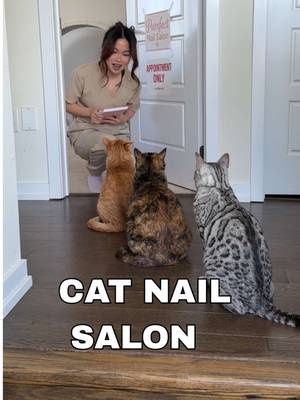 My cats visited the Purrfect Cat Nail Salon 😂