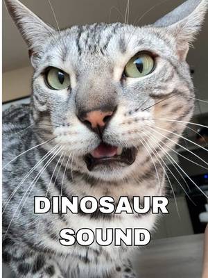 Sounds about right Peppy 🤣🦖