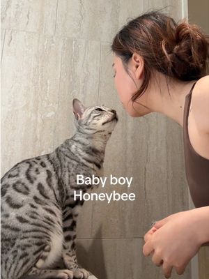 POV: youre a girl and have a boy cat 🥹