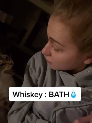 Whiskey’s late night crisis🌙✨ #whiskeythecat #fyp #foryoupage #foryou #catmom