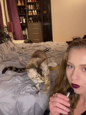 Drop dem questions🎤➡️ #interview #catsoftiktok #fyp #foryou #foryoupage