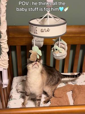 He’s in for a surprise😅 *all material touched by Whiskey was washed before the baby used them*