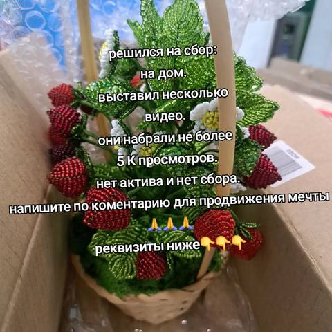 Оставляю здесь реквизиты на всякий случай 😊 очень всем благодарен за всё заранее🙏🙏🙏 сб #4276181860560397 т #2200700913324736 