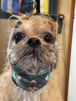 Oakley is nominated for the best supporting actor this year.