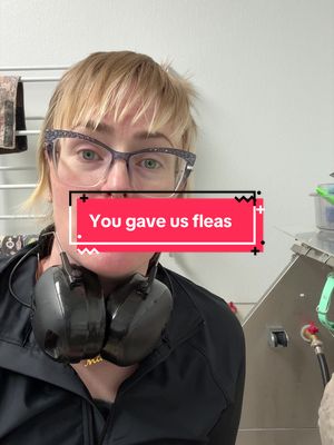 And now we gotta flea bomb our whole salon 😭