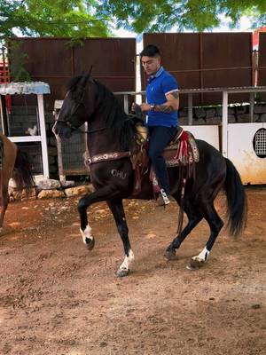 Aaaah cuaco tan hermoso 😍 #javierlarrañaga #elamornosevende #lossebastianes #baile #caballosbailadores @Cuadra Santa Bárbara
