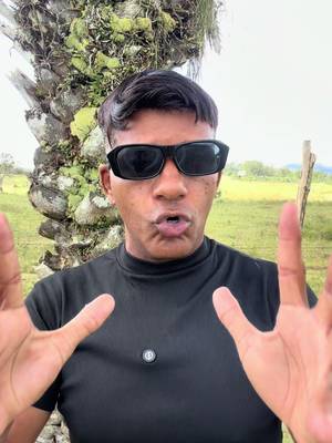 @jeandofogo TikTok video cover