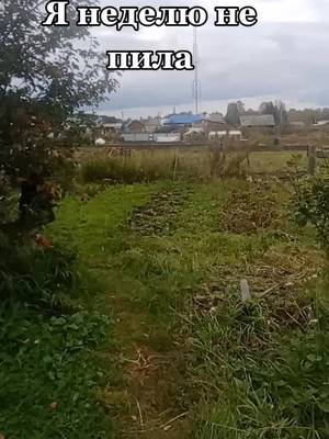 #хороших#выходных