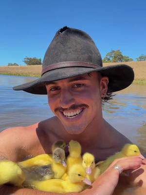 WHAT A TUNE! @Willow Avalon #hahndorffarmbarn #aussie #ducklings #iloveyou #quack