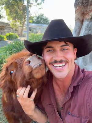 Mariah & Baby Cows?!? #hahndorffarmbarn #aussie #country #foryou #grasspuppies