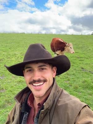 Where are the moo moos in Europe?! #grasspuppies #hahndorffarmbarn #eurosummer #aussie #country
