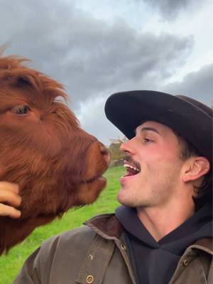 Stuck on repeat #hahndorffarmbarn #country #grasspuppies #aussie #australia