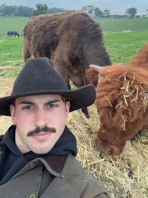 A couple Ella fellas and I get a kiss at the end :)) #hahndorffarmbarn #country #grasspuppies #aussie #ellafella