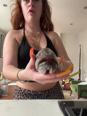 @livithegingy TikTok video cover