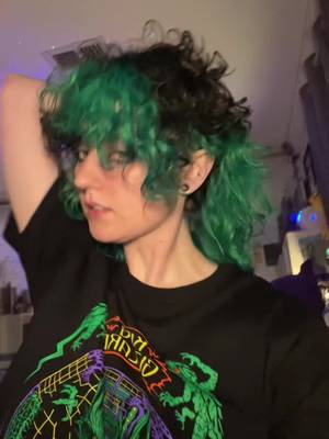 I was overdue for a new hair colour. Used @Good Dye Young for the first time in the shades kowabunga and blue rein, loving it so far!!! 💚 #greenhair #alt #mullet #gooddyeyoung
