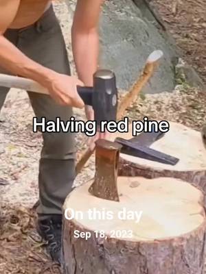 #onthisday