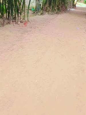 @mayajahir TikTok video cover