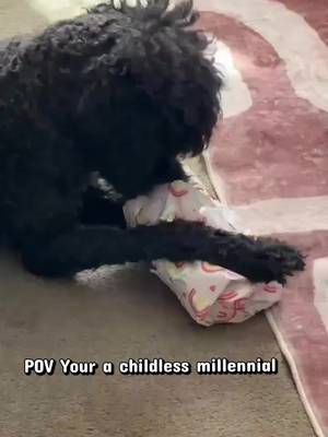 She loves wrapped presents, balloons, balls and bubbles and her tail never stops wagging. She is the happiest dog ever.