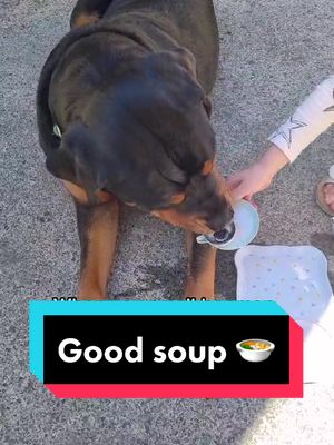 Good soup 🍲 #goodsoup #teaparty #kids #children #parentsoftiktok #rottweiler #dog #fyp #foryou #Love