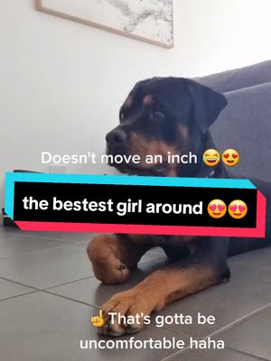 The absolute bestest girl around town 😍😍😍😍  #mypet #pets #meishatherottweiler #mollythecockerspaniel #dog #rottweiler #Love #dogsofinstagram #dogsoftiktok #sister #baby #bond #BestFriends #puppy #pup #special #follow #cockerspaniel #rottie #onthisday 
