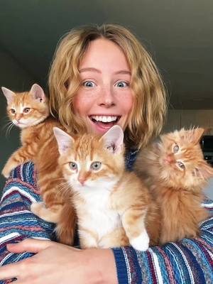 MEET MY THREE KITTENS 😻😻😻 #kittens #cats #catlover #orangecats #foryou 