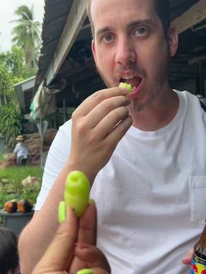 เก็บตะลิงปิงสดๆจากต้นให้ฝรั่งกิน ดูๆมันกินแบบชิวมากกก🤣🤣#ตะลิงปิง #สามีเด็กกว่า #กลับไทย