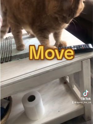 Orange boy things #move