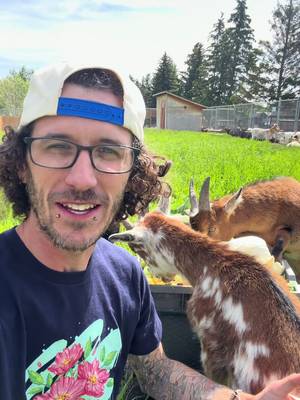 Kalan at The Rylee Ranch: What does it take to feed the farm each day! #kalanrylee #ryleeranch #farm #farmlife #animals