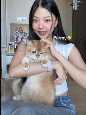 Parmy carnivore āļĨāļāļāļāļēāļĢāļāđāļēāļāļāļīāđāļāļðâïļ @Pramy and Prama #Pramycat #āļāļēāļŦāļēāļĢāđāļĄāļ§āļāļĢāļēāļĄāļĩāđ #PramyCatxJeffSatur #PramyCarnivore #jeffsatur