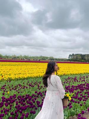 Tulips: Nature’s way of smiling 🌷🌸🌸 #tuliplover #spring #flowertherapy #loveflowers #trending #foryoupage