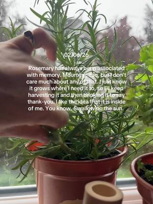 02/06/26 #deardiary #fieldnotesfromnowheregirl