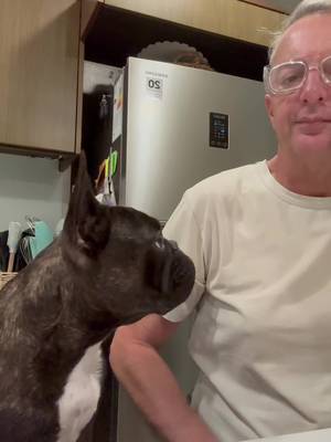 #frenchie #paratiiiiiiiiiiiiiiiiiiiiiiiiiiiiiii #veterinaria #queso #pollo